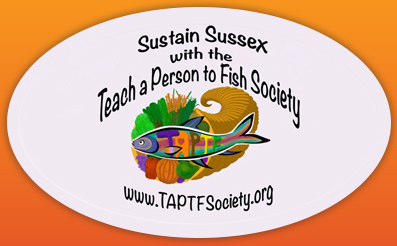 taptf-s
